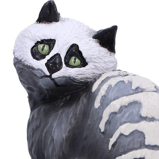 NEMESIS NOW - Skull Cat - Adorno de 18 cm (Gato de Halloween)