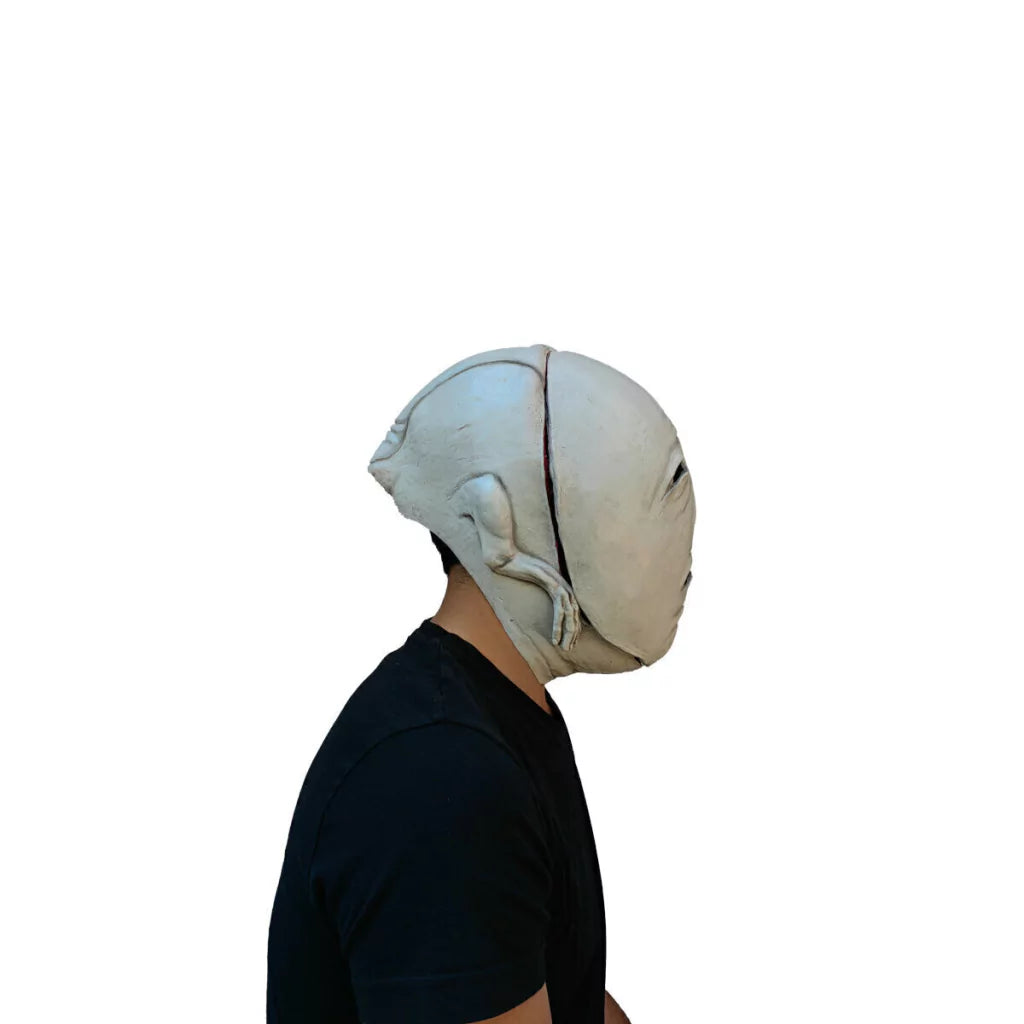 Bridge Maggot Deluxe Mask