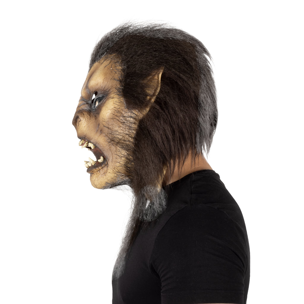 Wolfman Brown Claws Prop