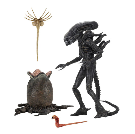 NECA - Aliens - 40th Anniversary Big Chap (Figra de 7")