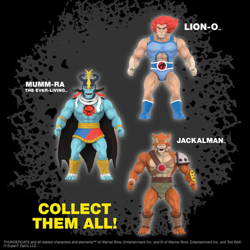 SUPER 7 - Thundercats Vintage - Lion-O (Figura de 5")