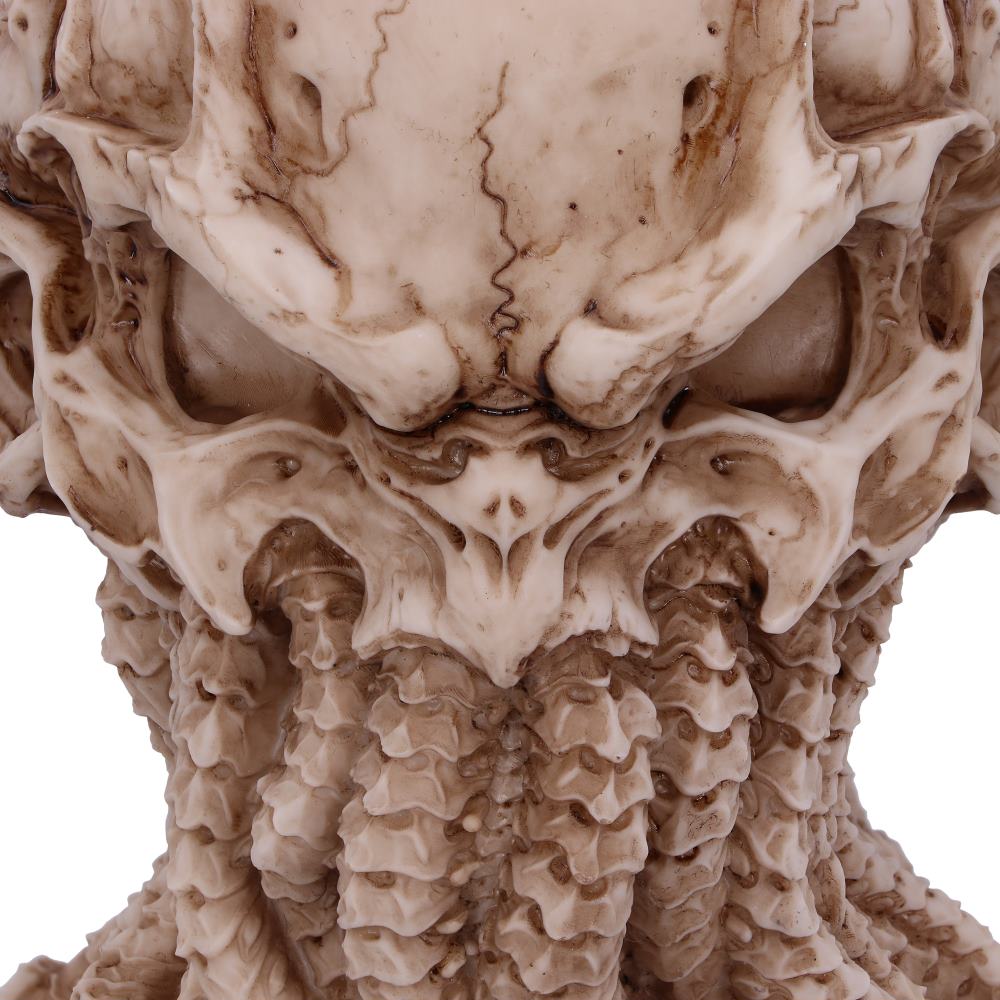 Nemesis Now - NN Core: Cthulhu - Adorno de 20cm - Cthulhu (James Ryman)