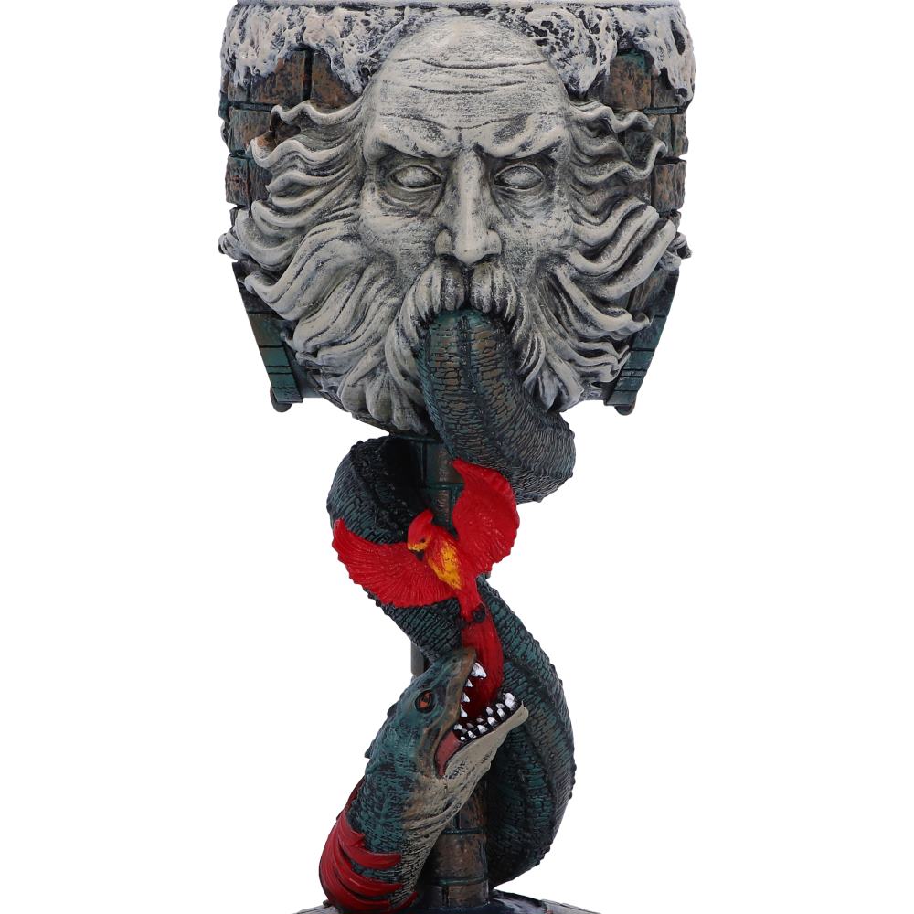 NEMESIS NOW - Harry Potter Chamber of Secrets - Collectible Goblet Copa