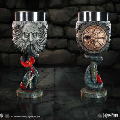 NEMESIS NOW - Harry Potter Chamber of Secrets - Collectible Goblet Copa