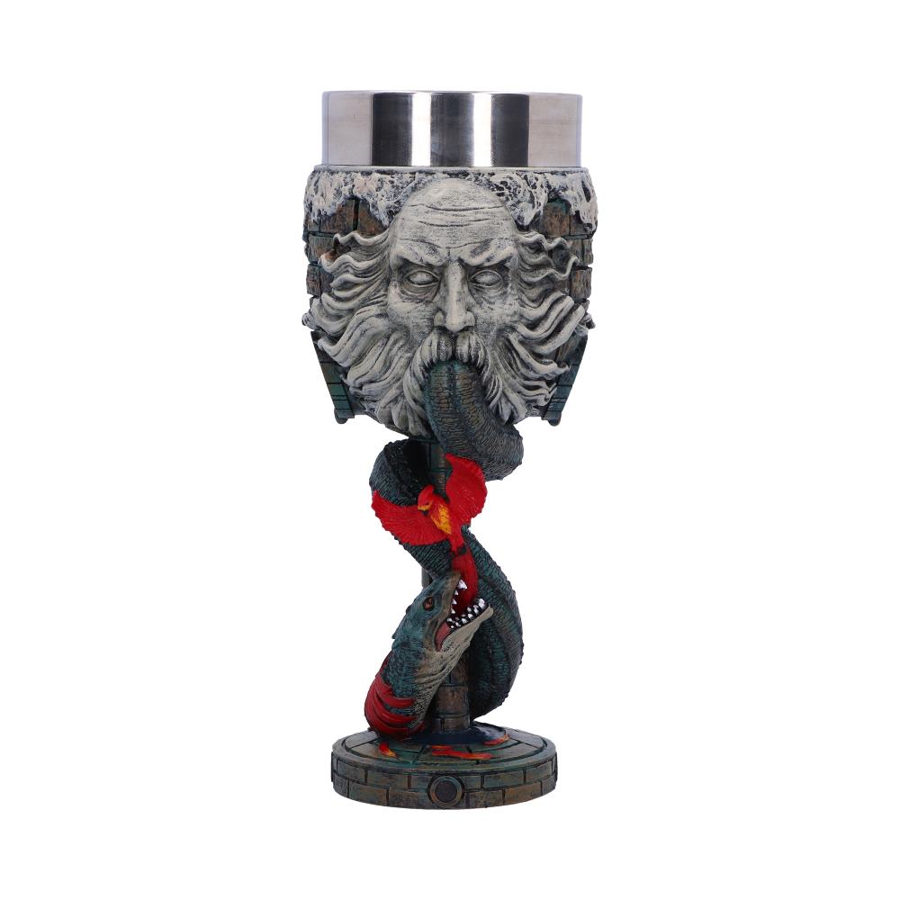 NEMESIS NOW - Harry Potter Chamber of Secrets - Collectible Goblet Copa