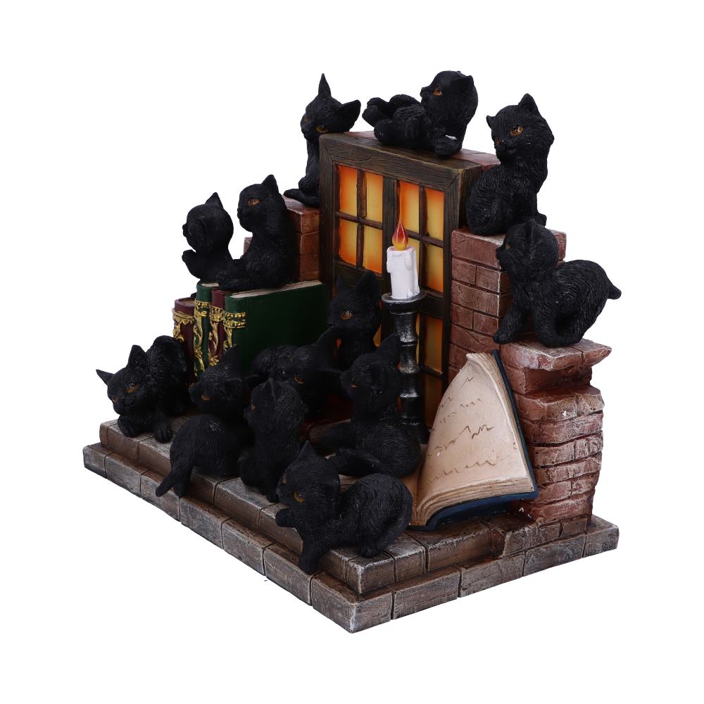 Nemesis Now - NN Core: Gatos - Adorno interactivo de 24.8cm - The Witches Litter (librero con 36 gatos)