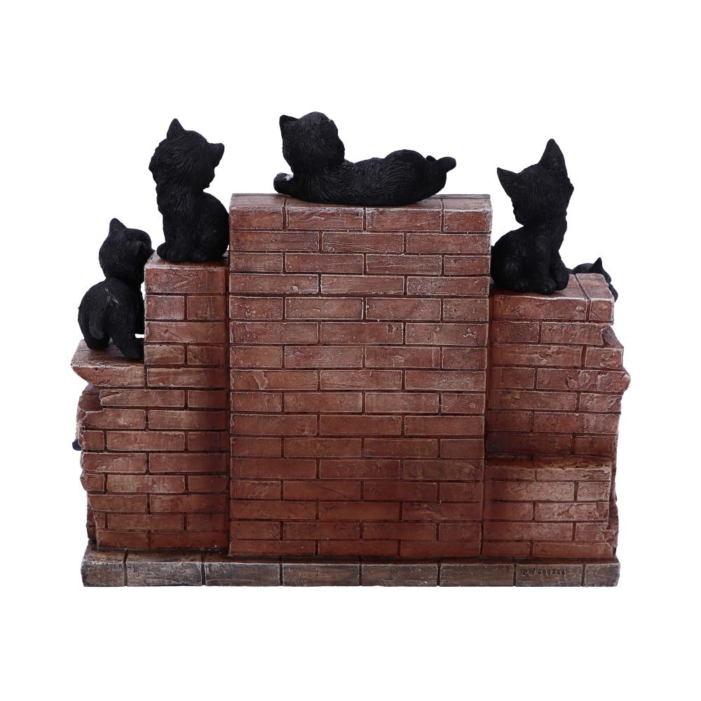 Nemesis Now - NN Core: Gatos - Adorno interactivo de 24.8cm - The Witches Litter (librero con 36 gatos)