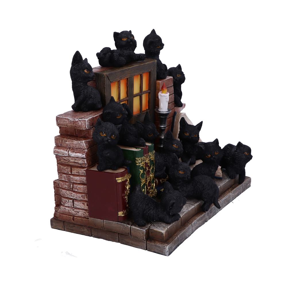 Nemesis Now - NN Core: Gatos - Adorno interactivo de 24.8cm - The Witches Litter (librero con 36 gatos)