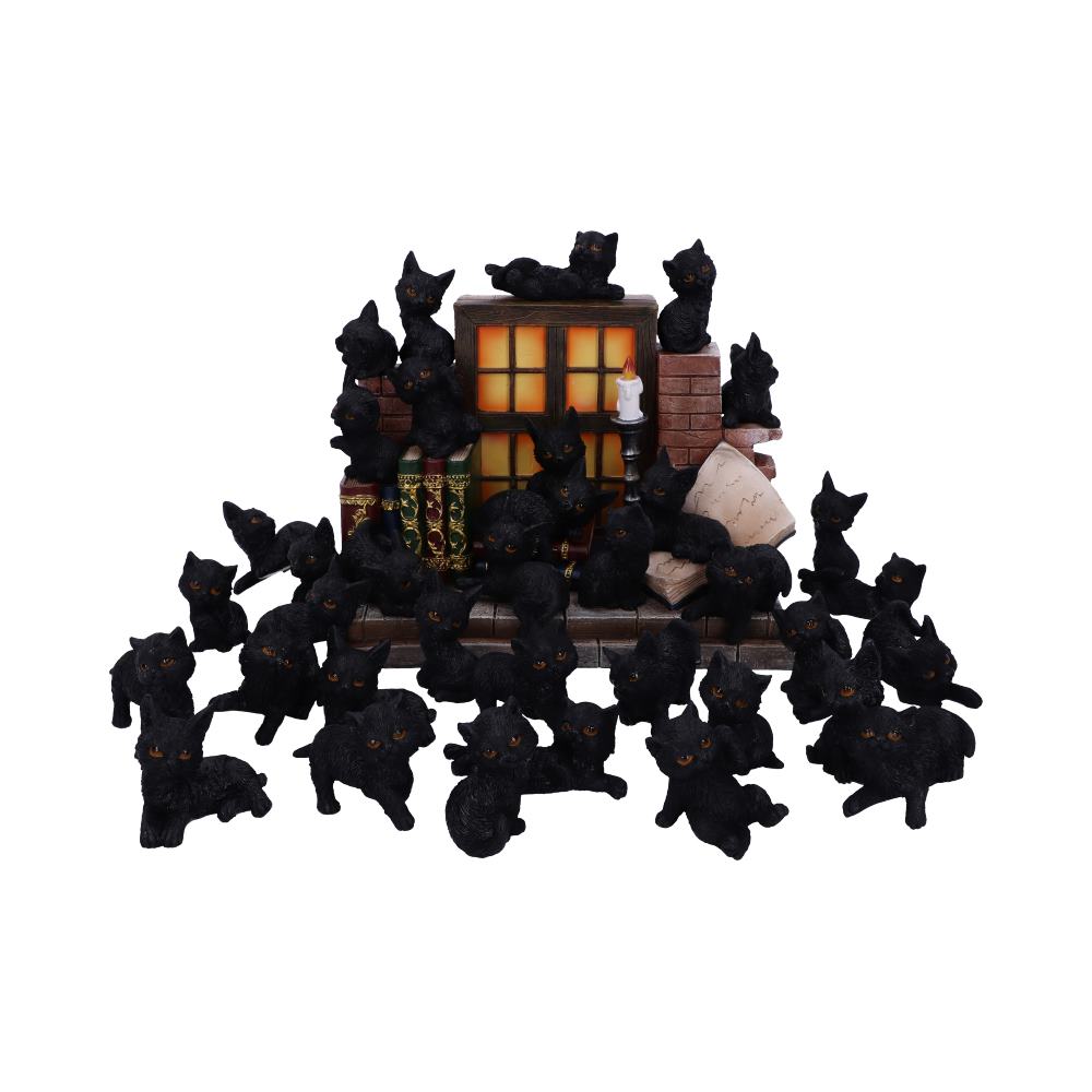 Nemesis Now - NN Core: Gatos - Adorno interactivo de 24.8cm - The Witches Litter (librero con 36 gatos)