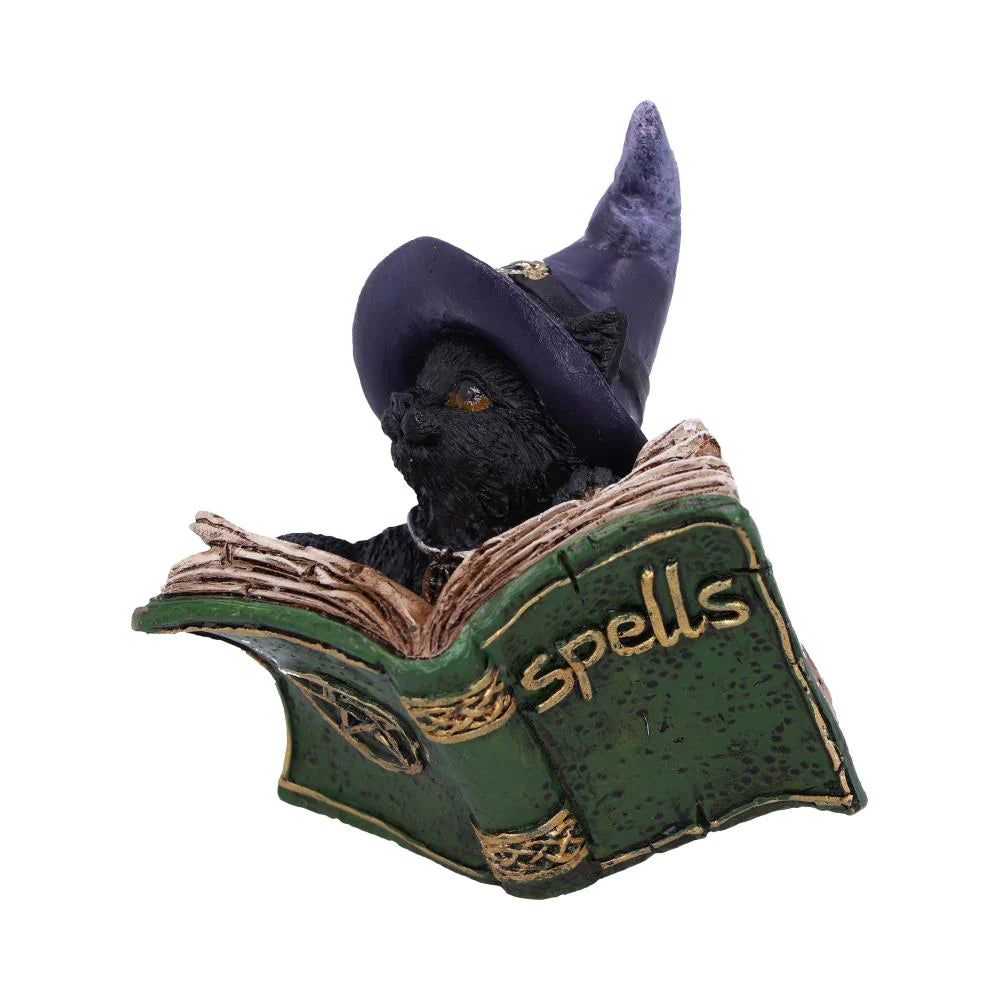 NEMESIS NOW - Kitty’s Grimoire (Green) Adorno de 8.2 cm