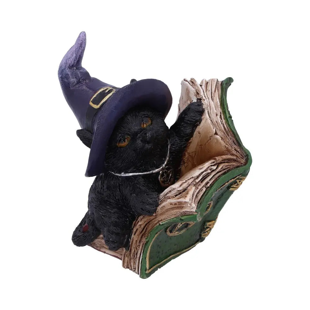 NEMESIS NOW - Kitty’s Grimoire (Green) Adorno de 8.2 cm