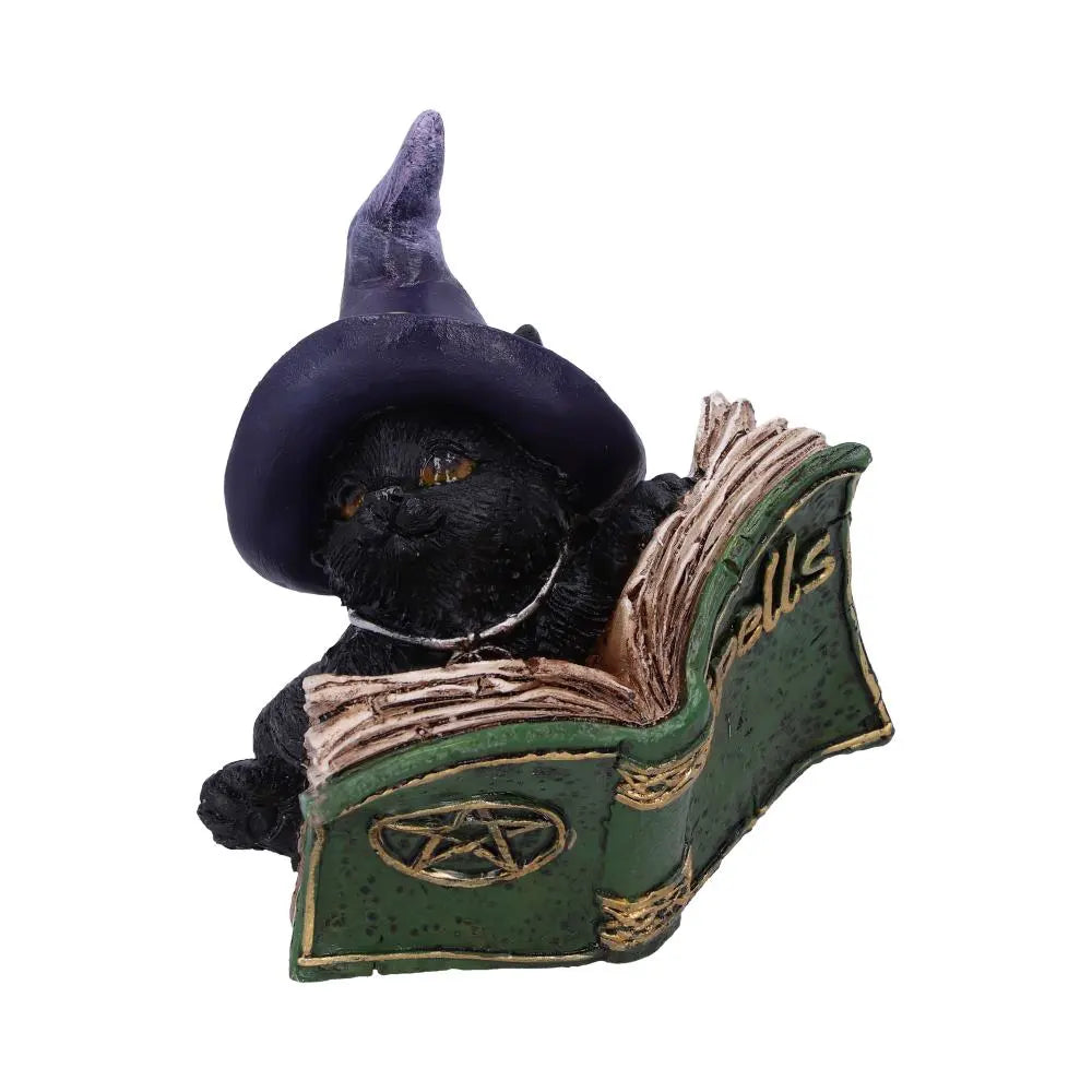 NEMESIS NOW - Kitty’s Grimoire (Green) Adorno de 8.2 cm